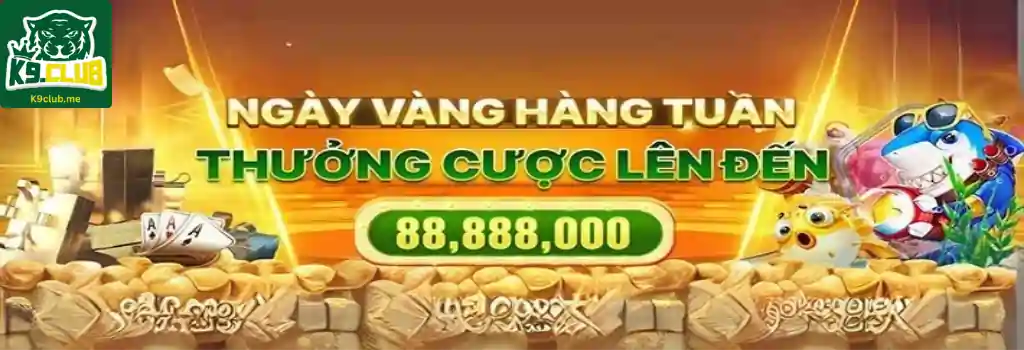 Đăng Ký K9CLUB